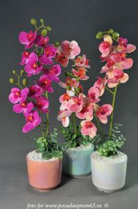 Цветочная композиция Орхидея ― МИР ПОСУДЫ